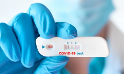 Przeprowadzanie testów na COVID-19 w powiecie ząbkowickim - dane i wykresy