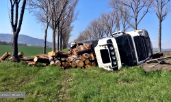 Samochód ciężarowy przewożący drewno wypadł z drogi na krajowej ósemce [foto]