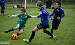 VII edycja turnieju Inpol Cup o Puchar Krzywej Wieży. Znamy najlepszych [relacja]