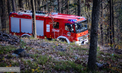 Wypadek podczas prac leśnych