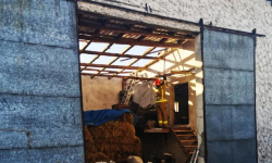 Silny wiatr powalił drzewa i uszkodził linie energetyczne [foto] [aktualizacja]