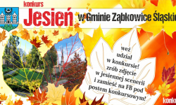 „Jesień w Gminie Ząbkowice Śląskie” – konkurs fotograficzny