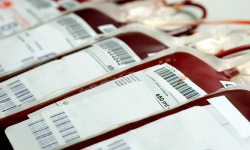 Oddaj krew. W środę zbiórka w Ząbkowicach Śląskich