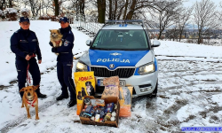 „I Ty możesz zostać Świętym Mikołajem”. Policjanci organizują zbiórkę dla psów i kotów ze schroniska