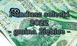 Fundusz sołecki 2022 w gminie Ziębice. Co zaplanowano?