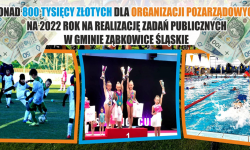 Ponad 800 tys. zł trafi do stowarzyszeń na realizację zadań publicznych w 2022 roku