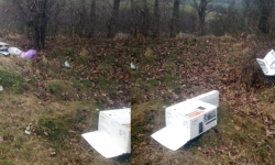 Wyrzucała śmieci do lasu. W worku policjanci znaleźli jej dane osobowe