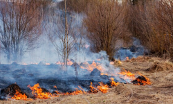 Wypalanie traw jest niezgodne z prawem. Grożą za to surowe kary i utrata dopłat