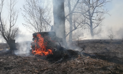 Wypalanie traw to plaga. W tym roku strażacy w powiecie ząbkowickim gasili już 102 tego typu pożary