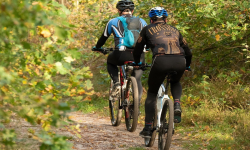Odcinek singletracka w Skalicach zamknięty do końca maja