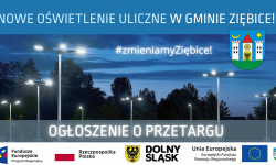 Gmina Ziębice ogłosiła przetarg na wymianę oświetlenia ulicznego na energooszczędne