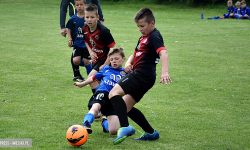 Wielkie granie w mieście Krzywej Wieży!