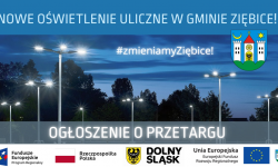 Gmina Ziębice szuka wykonawcy oświetlenia ulicznego