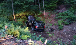 Audi wypadło z drogi za Złotym Stokiem [foto]