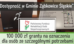 Gmina otrzymała 100 tys. zł grantu na oznaczenia dla osób ze szczególnymi potrzebami