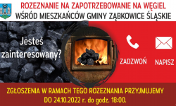 Wstępne rozeznanie zapotrzebowania na węgiel w gminie Ząbkowice Śląskie. Sprawdź, co musisz zrobić