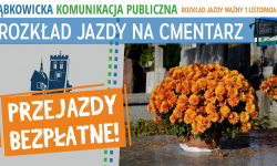 Zmiana organizacji ruchu 1 listopada. Sprawdź, jak dojechać na cmentarz