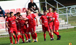 IV liga: Zamek Kamieniec Ząbkowicki 1:3 (1:0) Górnik Wałbrzych