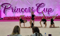 Ogólnopolski Turniej Rekreacyjnej Gimnastyki Artystycznej Princess Cup 2022 [foto]