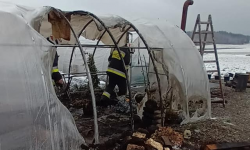 Pożar szklarni w Braszowicach 