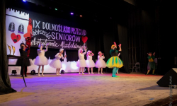 Za nami IX Dolnośląski Przegląd Seniorów Artystycznie Uzdolnionych [foto]