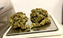 Wracał z festiwalu reggae skuterem do Krakowa. Miał przy sobie kilkadziesiąt porcji marihuany