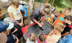 Muzyczna łąka zakwitła w kulturalnym ogrodzie ZCK