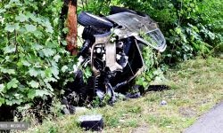 Audi rozbiło się na  drzewie [foto]