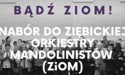 Nabór do Ziębickiej Orkiestry Mandolinistów