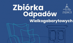 20 września zbiórka odpadów wielkogabarytowych w gminie Ziębice. Sprawdź w których sołectwach