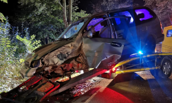 Osobówka wypadła z drogi i uderzyła w drzewo. Kierujący oddalił się z miejsca zdarzenia