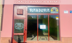 Do wynajęcia lokal użytkowy w centrum Ziębic