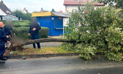Nietrzeźwa 41-latka najpierw uszkodziła inny pojazd, a za chwilę z impetem wjechała w drzewo