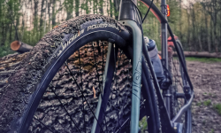 Singletracki na terenie leśnictwa Skalice zamknięte do końca listopada