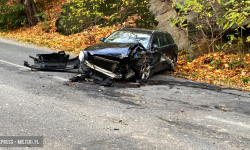 Kolizje pojazdów, zderzenia z dzikimi zwierzętami i wypadek. Niespokojnie na drogach w powiecie