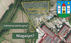 Gmina Ziębice sprzedaje działkę pod zakład produkcyjny, usługowy lub magazyn