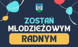 Zostań młodzieżowym radnym w gminie Ziębice!