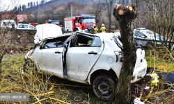 Uderzył w stojące na posesji auto, dachował i zatrzymał się w sąsiednim ogrodzie [foto]