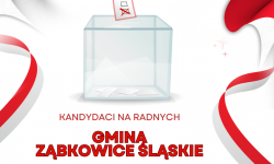 Wybory 2024: 40 kandydatów, 15 wolnych miejsc. Kto zasiądzie w Radzie Miejskiej Ząbkowic Śląskich?