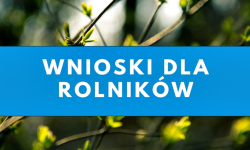 Przymrozki wiosenne 2024: Gmina komisja oszacuje szkody w gospodarstwach rolnych. Złóż wniosek