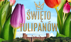 Już w najbliższą sobotę Święto Tulipanów w Kamieńcu Ząbkowickim