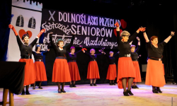 Jubileuszowy Dolnośląski Przegląd Twórczości Seniorów Artystycznie uzdolnionych za nami [foto]