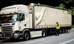 Drzewo przewróciło się na samochód ciężarowy [foto]