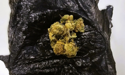 Kolejny zatrzymany z narkotykami