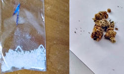 Posiadali przy sobie narkotyki. Teraz odpowiedzą przed sądem