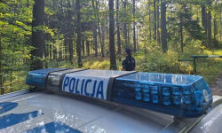 85-latka zgubiła się na grzybach. Pomogły policjantki