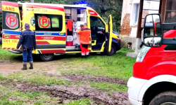 Meżczyzna przygnieciony przez konar drzewa