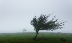 Ostrzeżenie meteo dla Dolnego Śląska. Silny wiatr w siedmiu powiatach