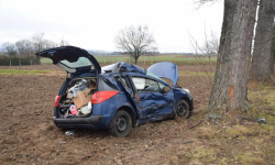 Peugeot wypadł z drogi i uderzył w drzewo [foto]