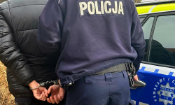 Policjanci zatrzymali 20-latka podejrzanego o kradzież tablic rejestracyjnych